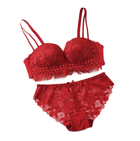 Lace Trim Bra Set with Wireless Design for Women