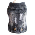 Designer Denim Jacket for Small Dogs and Cats