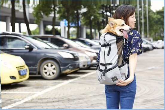 Ventilated and Breathable Pet Backpack Carrier