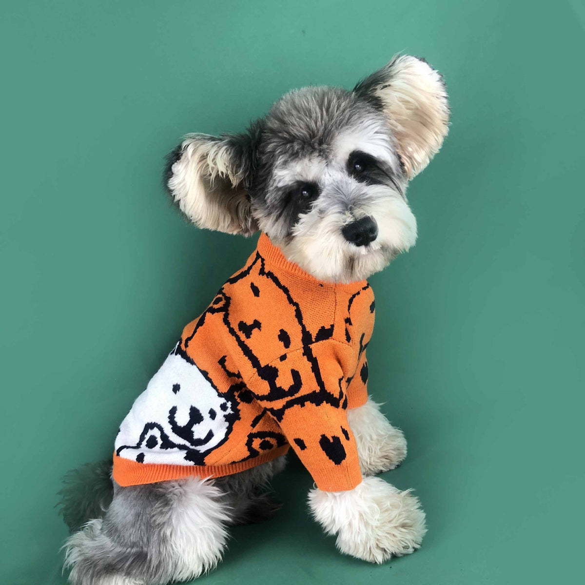 Small Dog Pullover Sweater for Spring and Autumn