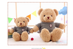 Teddy Bear Sweater Cartoon Plush Toy Doll