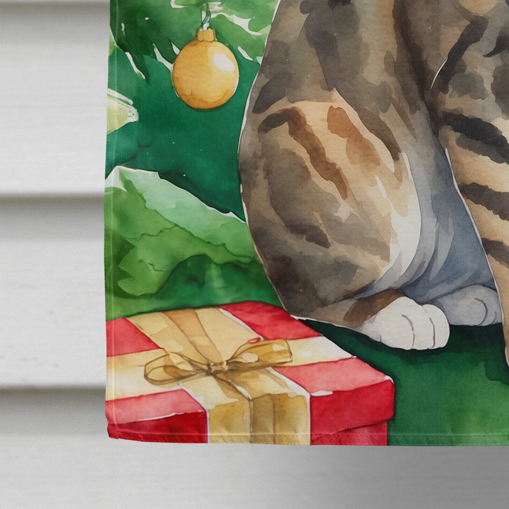 California Spangled Cat By the Christmas Tree House Flag