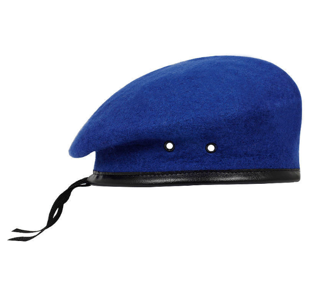 Pure Wool Painter Cap for Autumn and Winter | Embroidered Cap