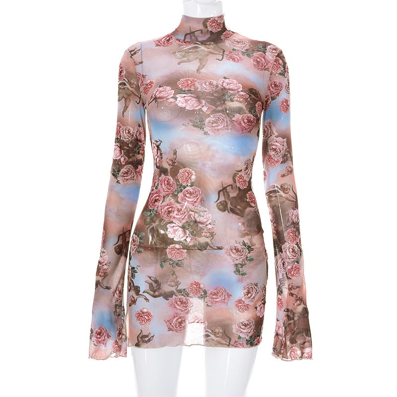 Round Collar Sheer Printed Long Sleeve Dress
