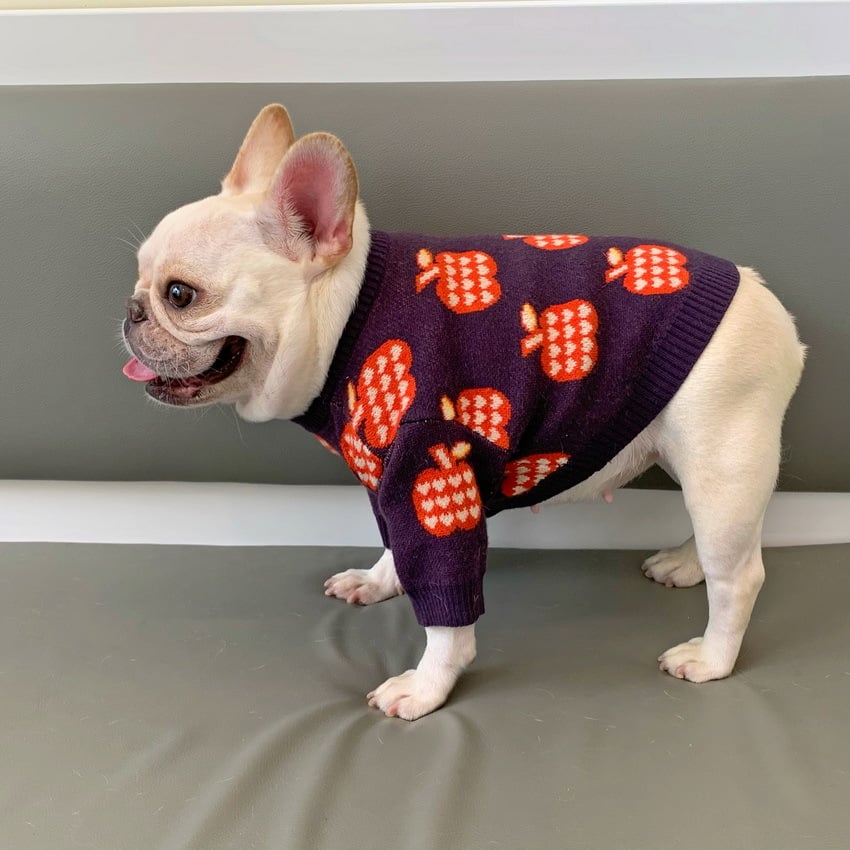Autumn Winter Sweater for Puppies and Kittens