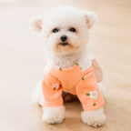 Little Rabbit Shaped Transforming Pet Sweatshirt | Streetwear