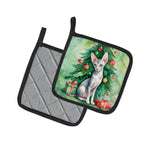 Oriental Shorthair Cat By the Christmas Tree Pair of Pot Holders