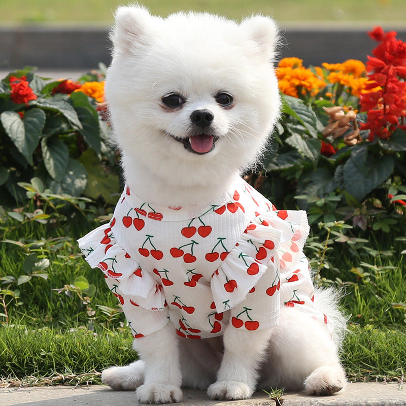 Fashionable Dog Bottoming Shirt Coat for Pets