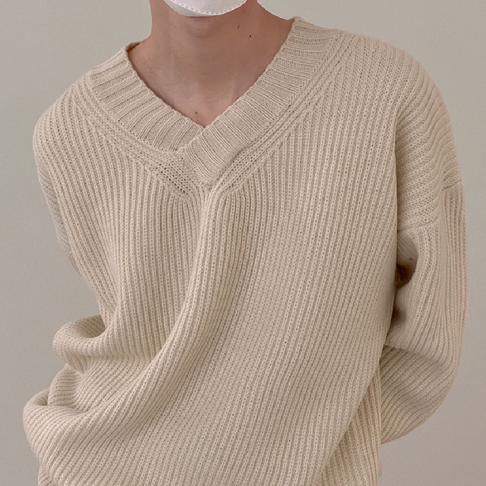 Men's Long Sleeve V-neck Fashion Sweater